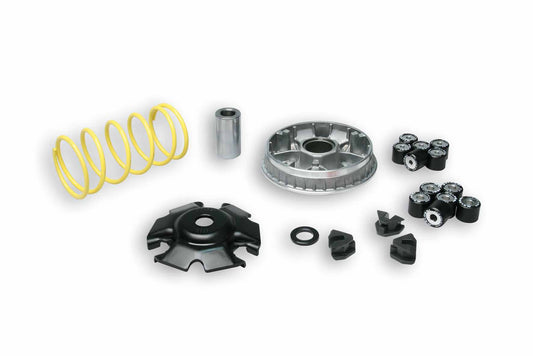 VARIATORE MULTIVAR 2000 (5114404)