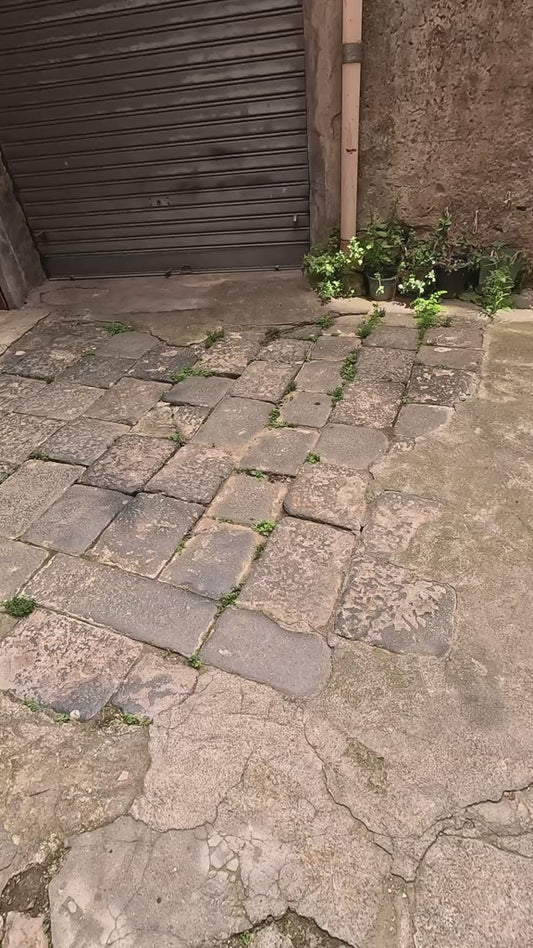 Pulsante Indicatore di direzione con ↔️